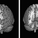 Imagen para el artículo titulado Todo lo que conoces sobre la meditación probablemente es incorrecto